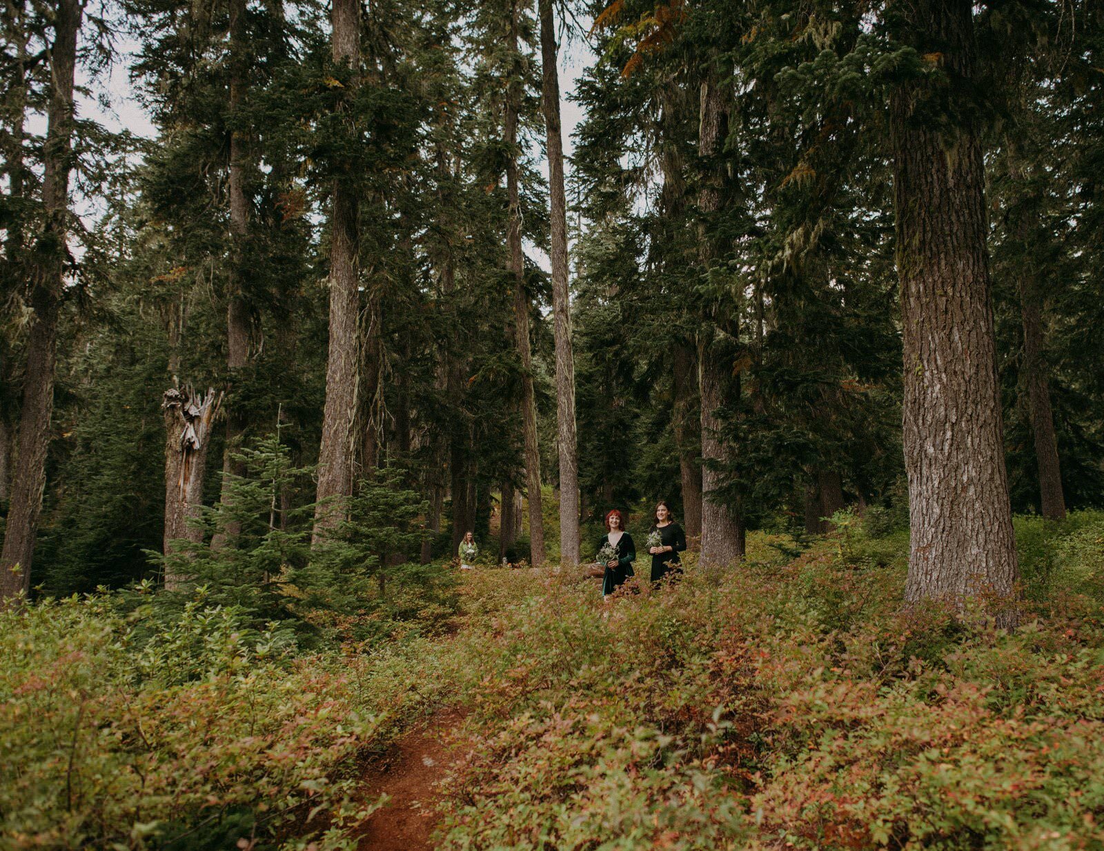 Intimate Elopement in the Northern Cascades Washington tim nonnie-86.jpeg